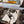 Load image into Gallery viewer, The Cutting Edge Signed Poster