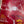 Load image into Gallery viewer, Where There's a Will..signed poster