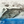 Load image into Gallery viewer, Blue Whale Bottle