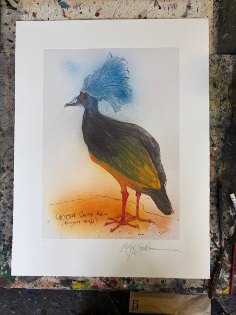 Choiseul Crested Pigeon Print