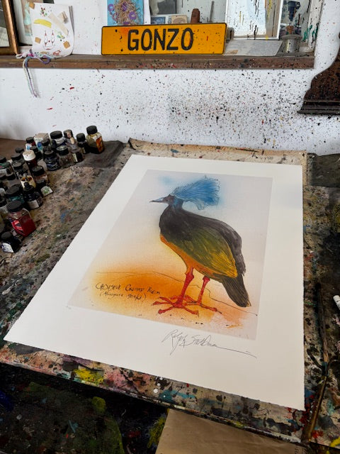 Choiseul Crested Pigeon Print